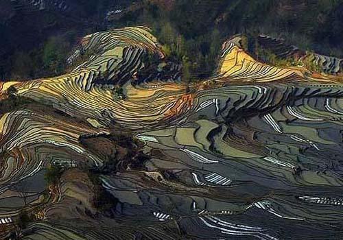 元陽(yáng)梯田