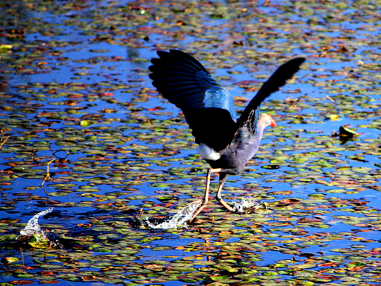 �Q�c &mdash; С�B������ - xiaofang - ��ŵĲ���